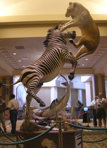 taxidermy cool lion and zebra