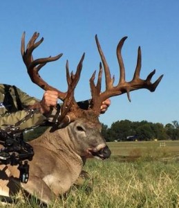 texas buck poached