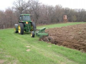 plant plot