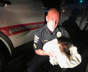 nj cop c section