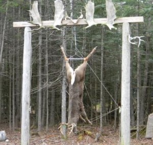 maine meat pole