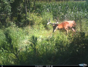 Va  9 point at round tower gap
