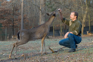 dr miller deer lab