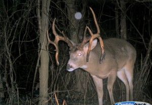 full moon buck