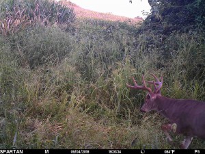 va 2018 va buck