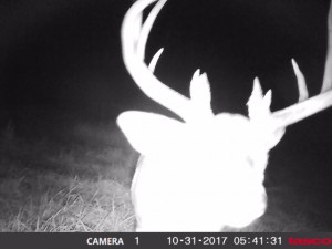 ohio gary