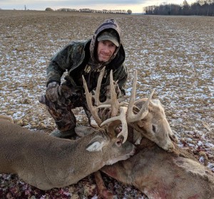 stuck deer 1