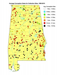 Map - Average Conception Dates 1995-2015 11-9-15