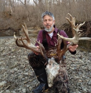 Ohio moose found dead.jpg compressed