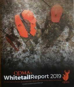 qdma 2019 report