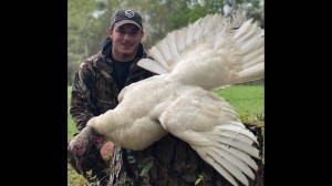 ms white turkey