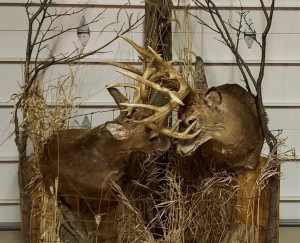 ohio lee mounts 2018