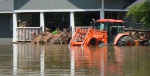 deer floods