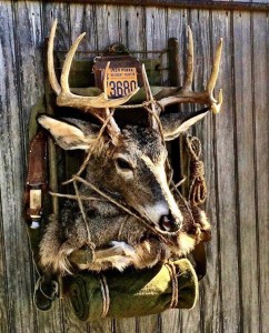 deer mount backpack