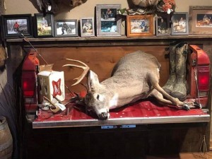 deer mount tailgate