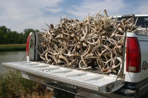 shed truckload